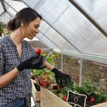 Kerti melegház, alumínium